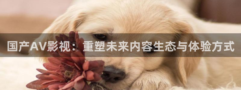 国产宅男视频在线播放