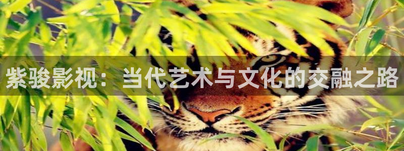 宅男视频在线免费：紫骏影视：当代艺术与文化的交融之路