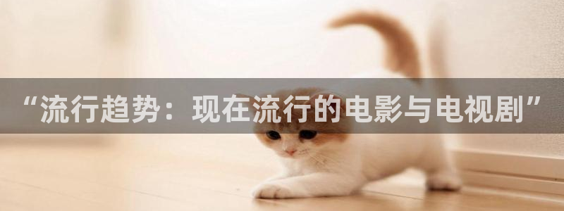 宅男视频网页：“流行趋势：现在流行的电影与电视剧”