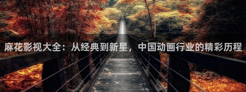 夜间宅男视频：麻花影视大全：从经典到新星，中国动画行业的精彩历程