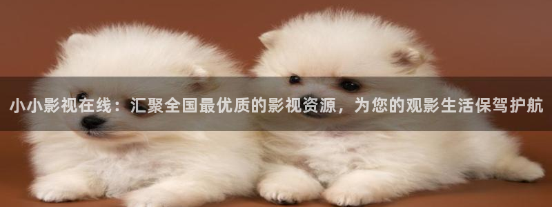 宅男视频.com：小小影视在线：汇聚全国最优质的影视资源，为您的观影生活保驾护航