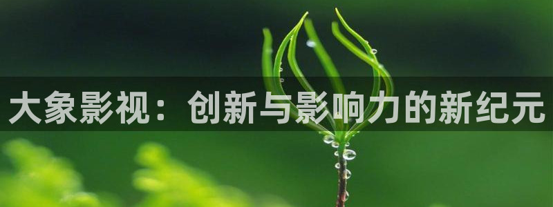 www宅男视频：大象影视：创新与影响力的新纪元