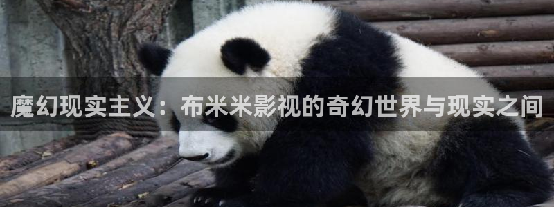 宅男视频网页版：魔幻现实主义：布米米影视的奇幻世界与现实之间